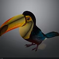 Colorful Toucan With Vibrant Yellow Orange Beak And Blue Feathers On Gray Background