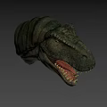 Detailed Tyrannosaurus Rex Head Model With Open Mouth Sharp Teeth And Textured Skin
