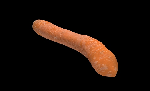 Modern carrots 3d model