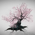 Ancient Tree With Thick Trunk And Twisted Roots Bearing Pink Flowers