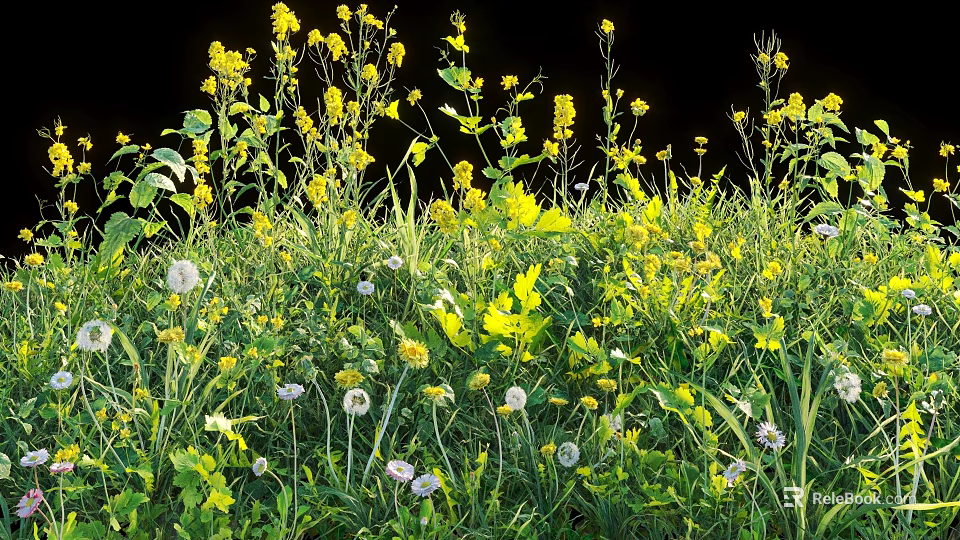Vibrant Yellow Flowers White Dandelions and Green Grass with Lush Leaves 3d model 
