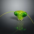 Green Insect Head With Long Antennae Large Compound Eyes Shiny Surface On Dark Background 3d model