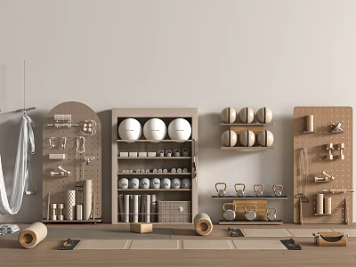 Organized Sports Equipment Display with Shelves Various Balls Dumbbells and Fitness Tools 3d model