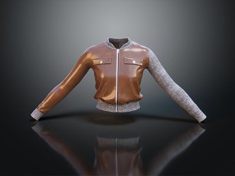 Modern Jacket Leather Jacket Men's Jacket 3d model