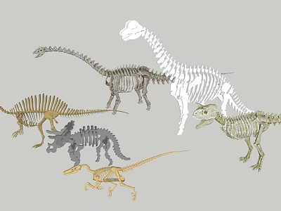 Game Movie Character Dinosaur Skeleton Models With Various Species And Colors 3d model