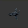 Detailed Blue Whale Sculpture Model With Shiny Surface On Dark Background