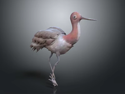 Pink and White Crane with Long Beak and Legs Standing on Gray Background 3d model
