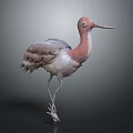 Modern Birds 3d model