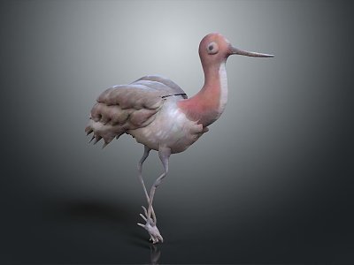 Modern Birds 3d model