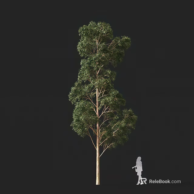 Tall Arbor With Lush Green Foliage And Straight Trunk Beside Human Figure 3d model 