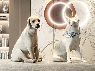 Two Dogs Sitting On Carpeted Floor With Marble Wall Circular Glowing Rings And Bookshelf 3d model
