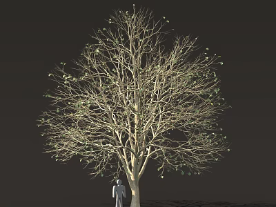 Tall Tree With Sparse Leaves And Human Figure Standing Under Trunk Against Dark Background 3d model