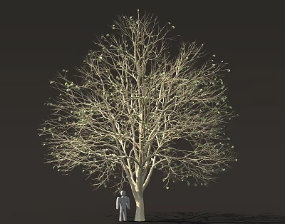 Tall Tree With Sparse Leaves And Human Figure Standing Under Trunk Against Dark Background 3d model