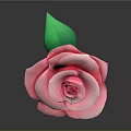 Beautiful Pink Paper Rose with Green Stem and Leaves on Gray Background