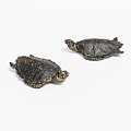 Two Reptile Turtle Sculptures With Black Shell And Golden Pattern Details On White Surface 3d model