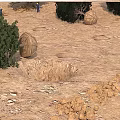 Garden Ornaments With Decorative Balls Green Bushes And Natural Stone Piles