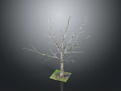 Detailed Bare Tree 3D Model Featuring Wooden Trunk and Stone Base Displayed on Gray Surface 3d model