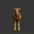 Orange Antelope With Curved Horns Standing On Dark Surface Showing Reflection 3d model