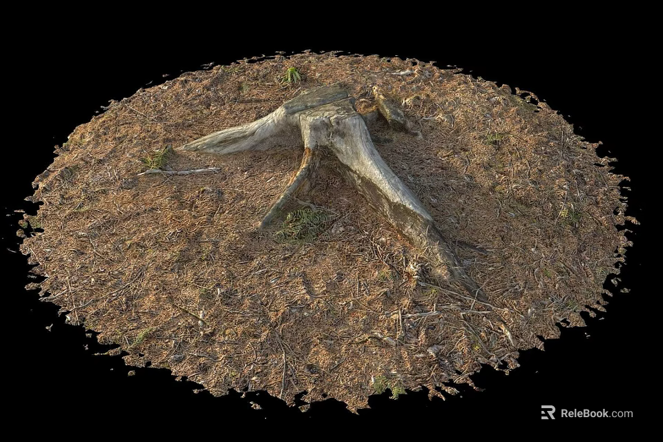 Natural Wood Stump With Stone And Dry Leaves On Forest Ground 3d model 