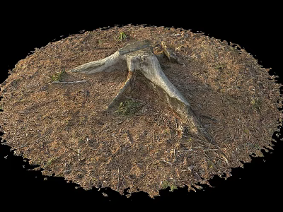 Natural Wood Stump With Stone And Dry Leaves On Forest Ground 3d model