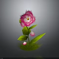 Vibrant Pink Flower With Fresh Green Leaves And Small Pink Buds On Green Base