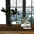 Fresh Green Plants In Transparent Glass Vase On Wooden Table With Mountain View By Window