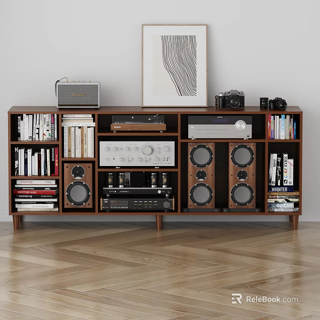 Wooden Shelf Audio System Setup With Record Player Radio Cameras Books And Decorative Painting 3d model 