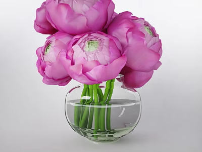 Pink Peonies Arrangement In Transparent Glass Vase With Water And Green Stems 3d model