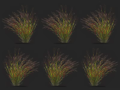 Ornamental Grass With Colorful Green And Red Foliage Clumping For Garden Decoration 3d model