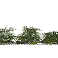Modern Shrubs Dwarf Shrubs Flowers and Shrubs 3d model
