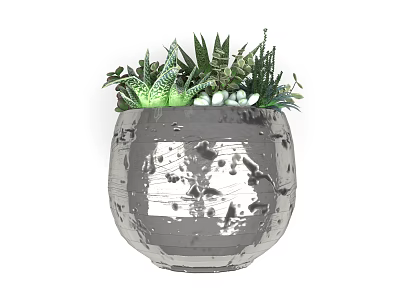 Bonsai Potted Plant With Various Succulents And Green Leaves In Gray Mottled Pot 3d model