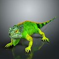 Lizard Anime Lizard Cartoon Lizard Reptile Cold Blooded Animal Reptile Reptile 3d model