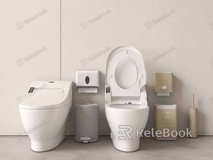 Modern toilet model