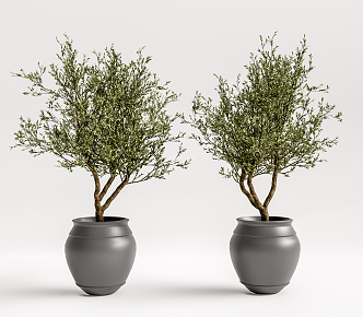 modern potted plant potted plant 3d model