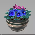 Potted Plant With Blue Purple And Pink Flowers Green Leaves In Striped Green Beige Pot
