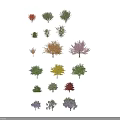 Diverse Arbor Trees With Various Colored Foliage Shapes And Sizes For 3d model