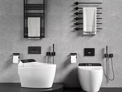 Modern Bathroom Toilets With Wall Mounted Towel Racks Toilet Paper Holders And Control Panels 3d model