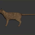 Realistic Brown Cat 3D Model With White Eyes Detailed Fur Standing On Dark Background