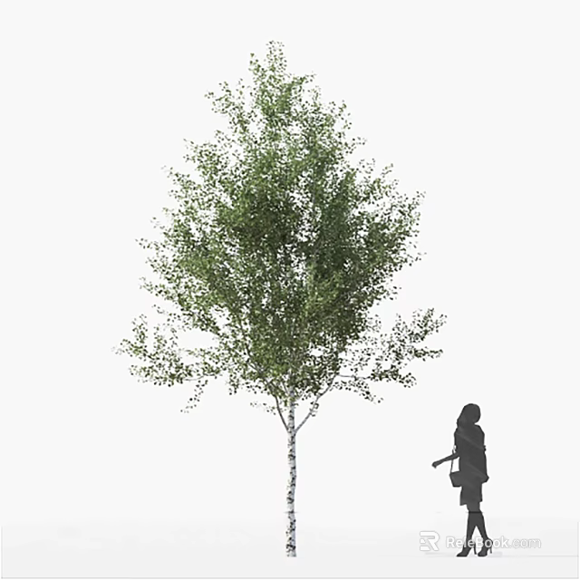 Tall Arbor With Green Foliage And Human Silhouette In Garden Scene 3d model 