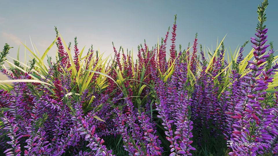 Purple and Red Flowering Shrubs with Green Foliage in Natural Garden 3d model 