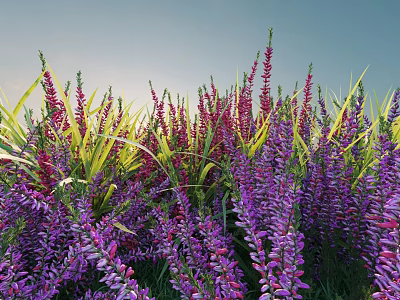 Purple and Red Flowering Shrubs with Green Foliage in Natural Garden 3d model
