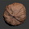 Single Fresh Brown Walnut With Natural Textured Shell On Dark Surface