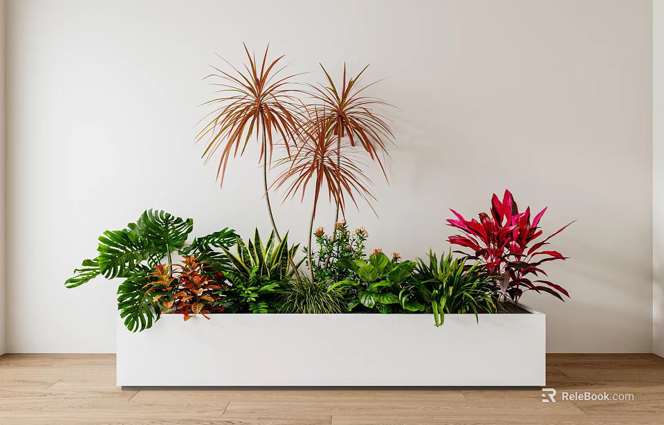 White Rectangular Planter With Various Potted Plants Red Green Leaves White Wall Wooden Floor 3d model