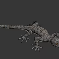 3D Gecko Game Movie Character With White Gray Pattern And Yellow Eyes