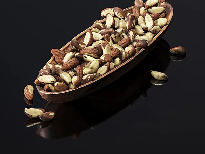 Roasted Brazil Nuts in Wooden Bowl on Black Background with Reflections 3d model