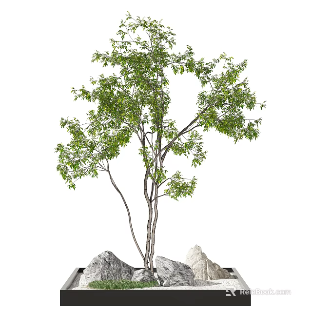 Lush Green Arbor With Multiple Trunks Fresh Leaves And Surrounding Rocks 3d model 