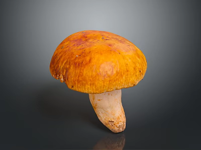Fresh Whole Orange Mushroom Featuring Vibrant Cap and Smooth Firm Stem 3d model