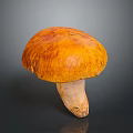 Fresh Whole Orange Mushroom Featuring Vibrant Cap and Smooth Firm Stem