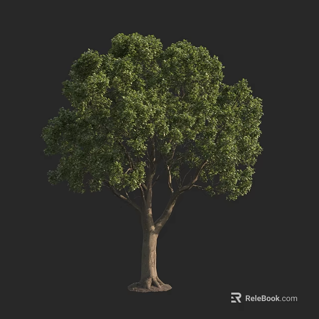 Single Arbor With Lush Green Foliage And Brown Trunk Isolated On Black 3d model 