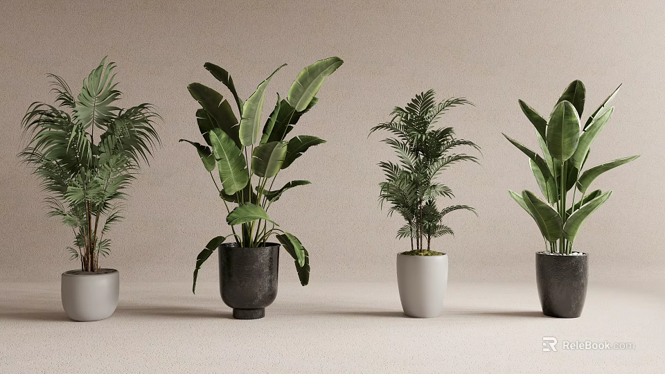 Various Potted Plants With Different Leaf Shapes And Colored Pots On Light Background 3d model 